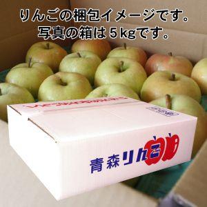 送料無料 青森りんご 青森県産 サン つがる 10kg箱 家庭用　りんごつがる りんご訳あり りんご青森 青森りんご 青森りんご産地直送｜4kijp｜04