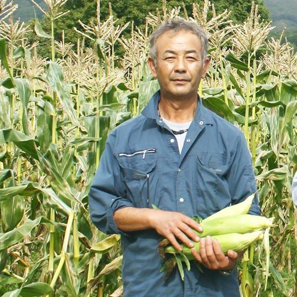 爆買」 嶽きみ 恵味 L〜2Lサイズ 10本 とうもろこし 青森 だけきみ