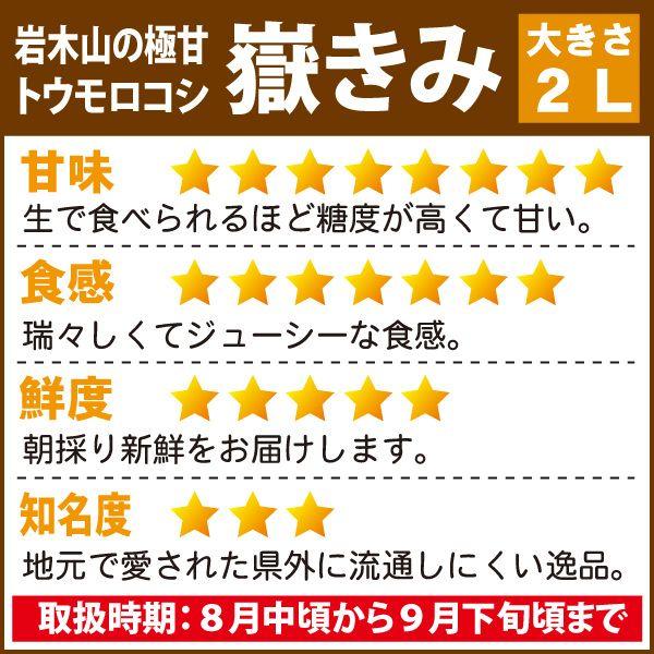 爆買」 嶽きみ 恵味 L〜2Lサイズ 10本 とうもろこし 青森 だけきみ