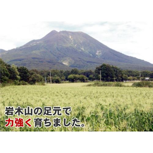 爆買」 嶽きみ 恵味 L〜2Lサイズ 10本 とうもろこし 青森 だけきみ