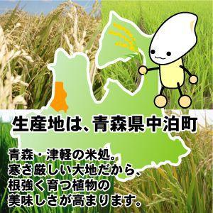 つがるロマン 特別栽培米 10kg お米 青森 青森県産 米 玄米 胚芽 つがるロマン 特別栽培米 10kg お米 青森 青森県産 米 玄米 胚芽