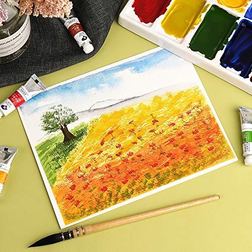 Paul Rubens 透明水彩絵の具 36色セット 水彩セット アクリルガッシュ 5 Mlペイント チューブ 初心者 愛好家 学生向け S 07 4smile 通販 Yahoo ショッピング