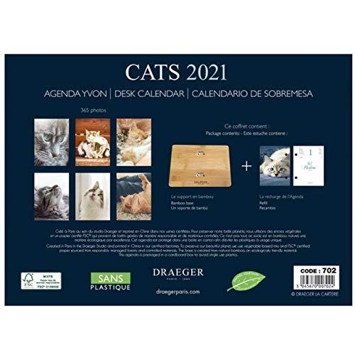 ドレジャー 21年 365日日めくりカレンダー Boxセット Cats 卓上タイプ 猫 動物 かわいい 写真 月曜始まり フランス製 中国印刷 S 1015 4smile 通販 Yahoo ショッピング