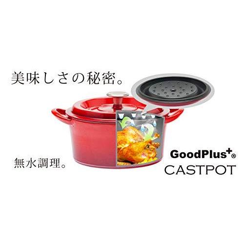 グッドプラス (GoodPlus+) キャストポット 20cm レッド【鋳物ホーロー 