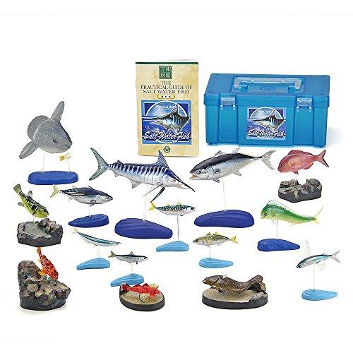 カロラータ 古代魚 フィギュア ( 立体図鑑 ) 魚 リアル フィギュア