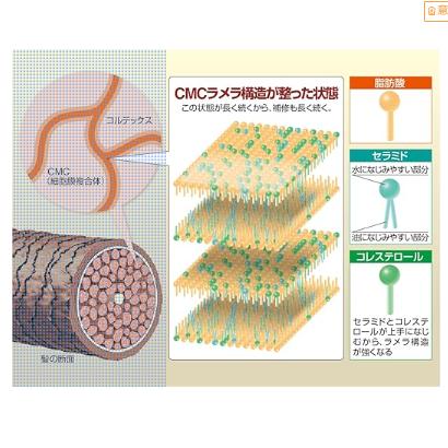 ReKERA(リケラ) エマルジョン 200mL リトル・サイエンティスト