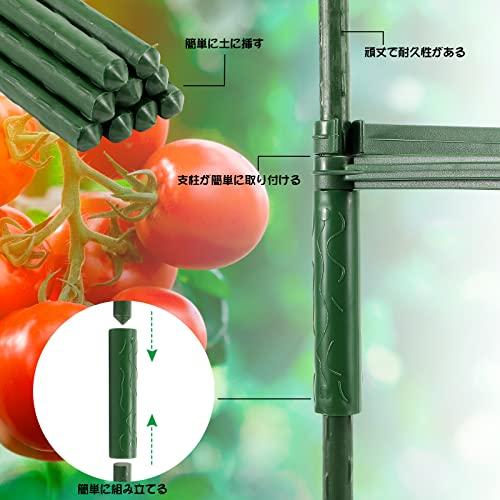 SZMDLX トマト支柱 植物 園芸 支柱 つる性植物 観葉植物 誘引 三角形