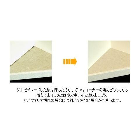 劇的に落ちる  野口商事 最強パワー 強力 カビ取り剤   B-1MAXゲル  根元から分解漂白   お掃除 簡単 楽ちん  しっかり密着するジェルタイプ ・たっぷり220g | ブランド登録なし | 03