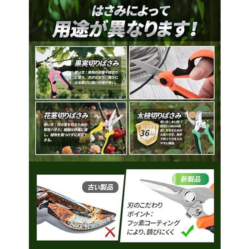 剪定バサミ 3個 剪定ばさみ 2025人気庭師最新推薦 高炭素鋼 剪定鋏