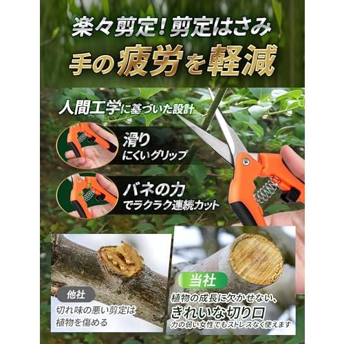 剪定バサミ 3個 剪定ばさみ 2025人気庭師最新推薦 高炭素鋼 剪定鋏