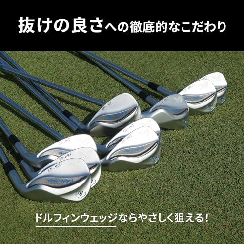 キャスコ(Kasco) クラブヘッド DW-123クロムメッキ ヘッドのみ