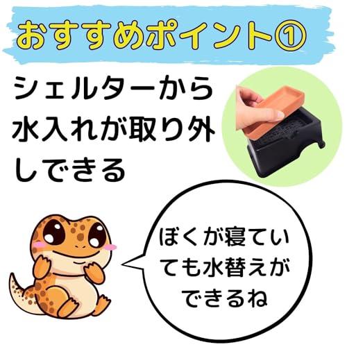 ウェットシェルター レオパ カビにくい 隠れ家 洞窟穴 トカゲ カナヘビ