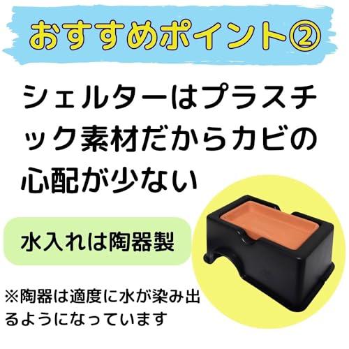 ウェットシェルター レオパ カビにくい 隠れ家 洞窟穴 トカゲ カナヘビ
