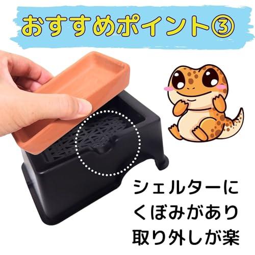 爬虫類飼育3個セット　アクリルケージ、ナラベルト、ウェットシェルターなど　その3 爬虫類 アクリルケージ TOP-AC-4530Ⅱ TOPCREATE(トップクリエイト) 45