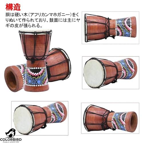 COLORBIRD ジャンベ 打楽器 楽器 太鼓 民族楽器 パーカッション