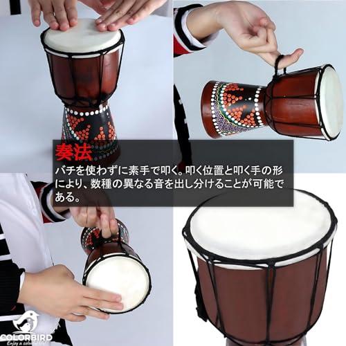 COLORBIRD ジャンベ 打楽器 楽器 太鼓 民族楽器 パーカッション