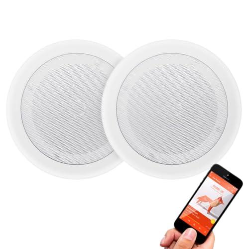 Pyle 壁・天井埋込式 Bluetooth内蔵 2WAYマウントスピーカー