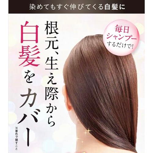 Sastty[白髪用] 利尻カラーシャンプー お徳用 500ml ダークブラウン