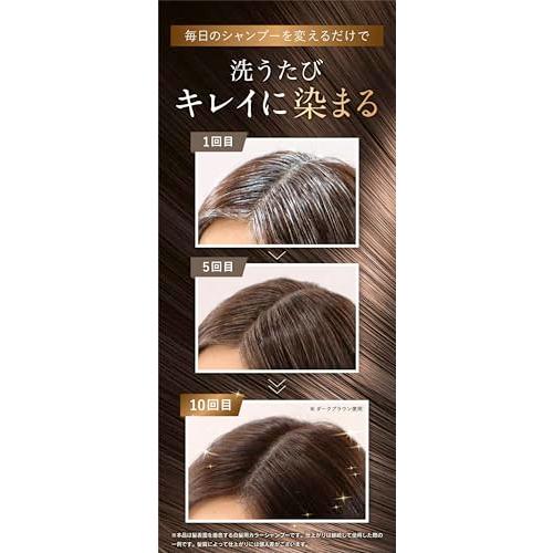 Sastty[白髪用] 利尻カラーシャンプー お徳用 500ml ダークブラウン