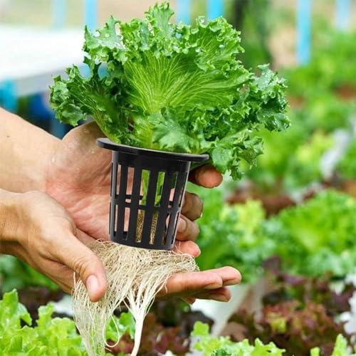 30個入 水耕栽培 ポット 、プラスチック植木鉢、水耕栽 培 ポ ット、無 
