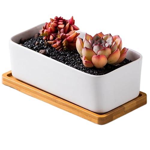 Quikaboo 植木鉢 陶器 サボテン 鉢 多肉植物鉢 室内屋外可能 容器 寄せ