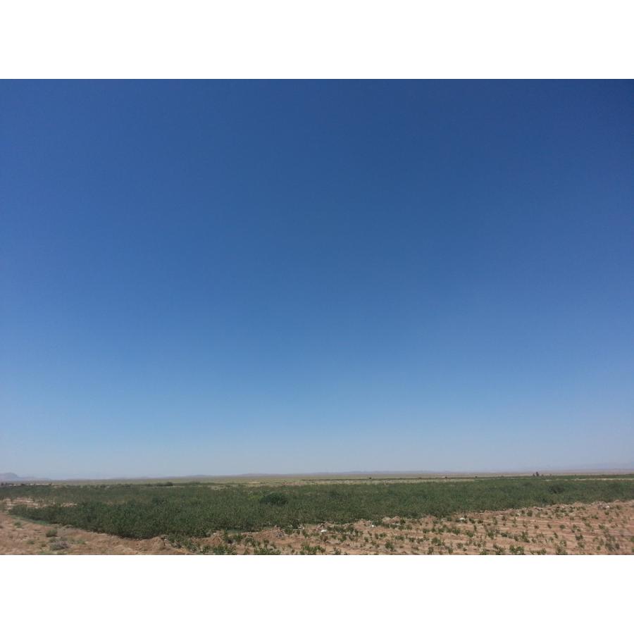 ピスタチオ グリーンピスタチオ 生 無添加 むき実 ナッツ 1kg グルメ? |  | 02