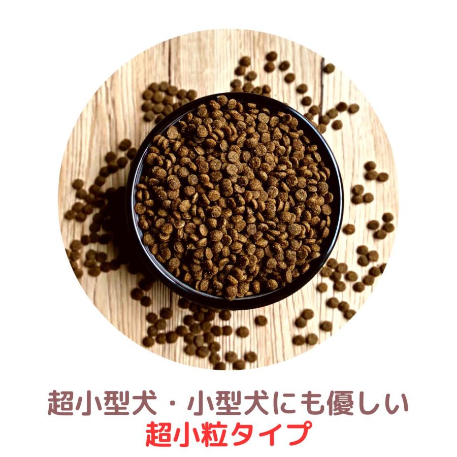 ドッグフード ラム 成犬用 2kg×2個 総合栄養食 ドライフード グレイン