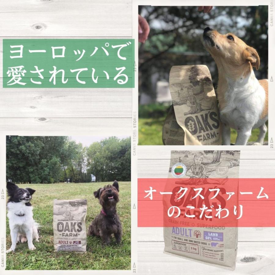 ドッグフード ラム 成犬用 2kg×6個 総合栄養食 ドライフード グレイン