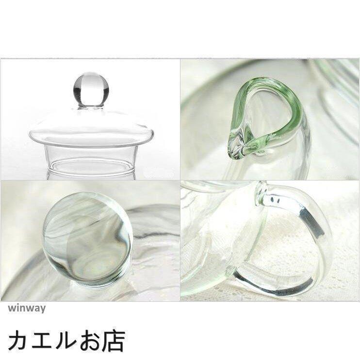 茶器 セット ガラスポット ティーポット ティーカップ 耐熱透明 急須水