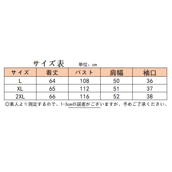 ブラウス レディース シャツ リネン綿 麻 ス 立ち襟 スタンドカラー