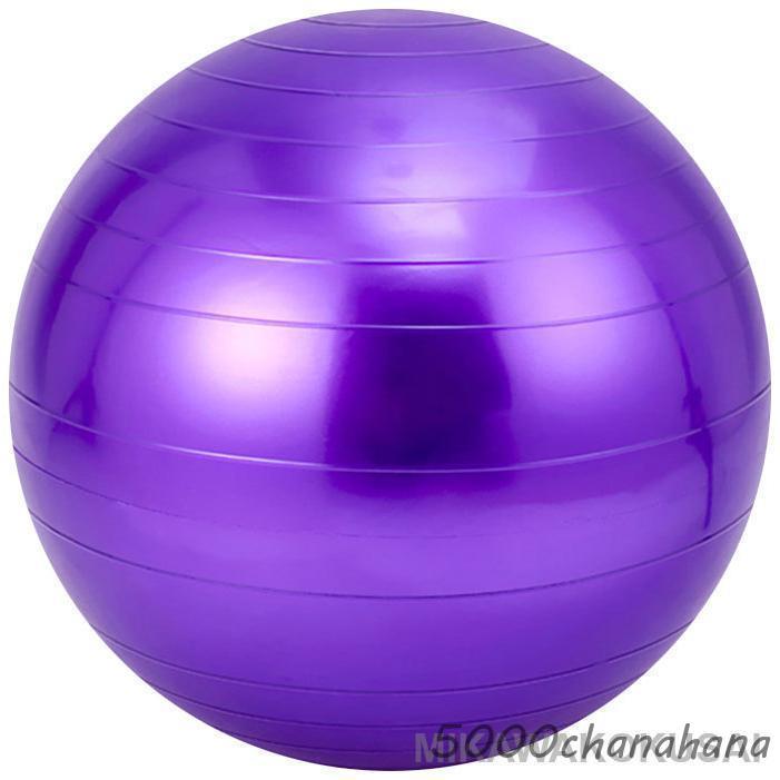 バランスボール 55cm 65cm 75cm フットポンプ付き 空気入れ 耐荷重