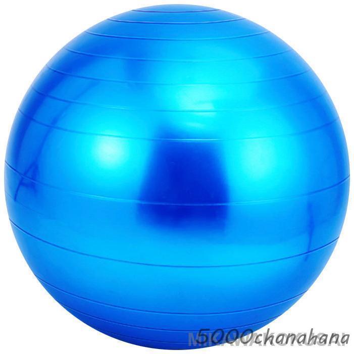 バランスボール 55cm 65cm 75cm フットポンプ付き 空気入れ 耐荷重