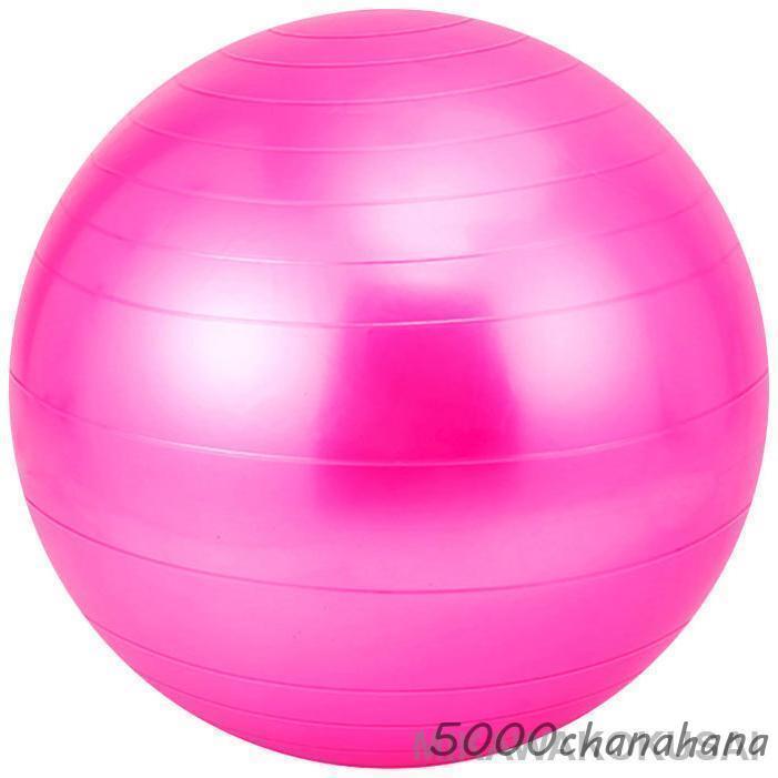 バランスボール 55cm 65cm 75cm フットポンプ付き 空気入れ 耐荷重