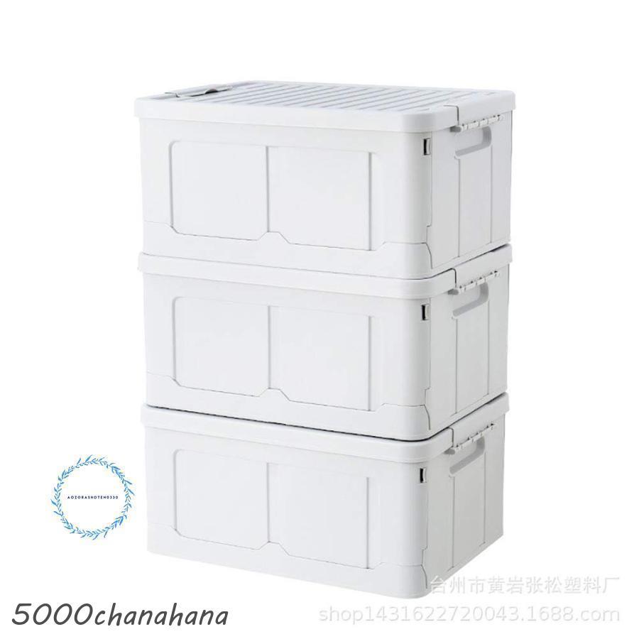 収納ボックス 衣装ケース 収納ケース トランクカーゴ コンテナボックス