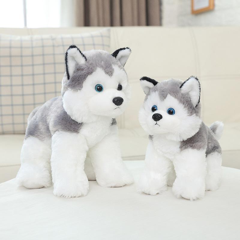 ぬいぐるみ ハスキーぬいぐるみ 犬 可愛いいぬ 動物 大きい いぬ 犬