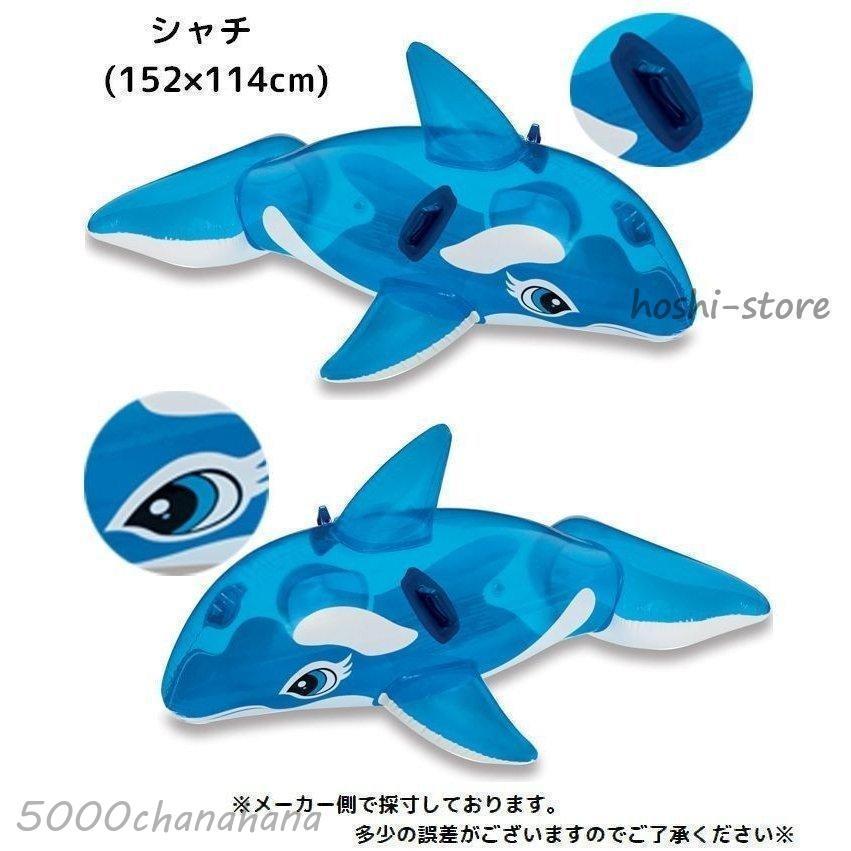 シャチフロート 浮き具 浮き輪 ビーチフロート 浮輪 取っ手付き 子供用