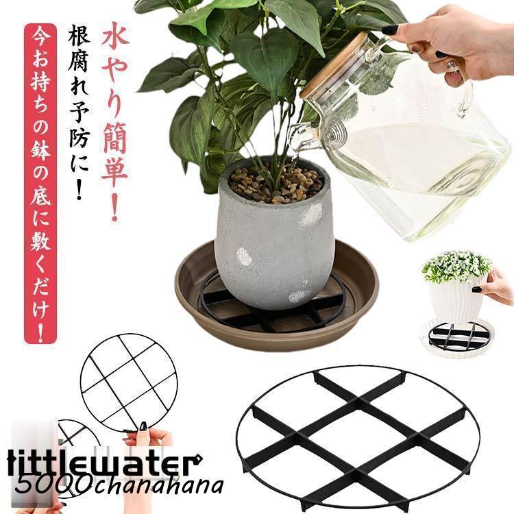 盆栽中品：ボケ／国華/プラ鉢/／底土改良済／根腐れ防止剤処置