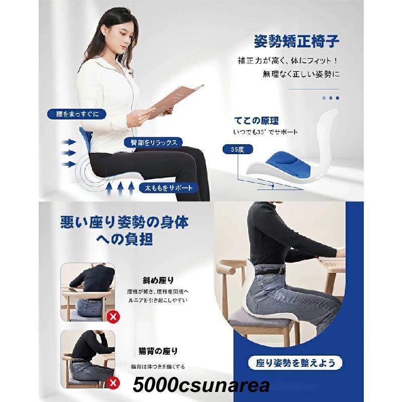 Style パープル姿勢矯正チェア Amazon.co.jp: Holotap 姿勢サポートチェア 姿勢矯正 椅子【2024