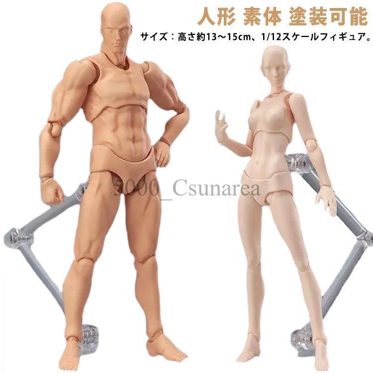 デッサンモデル デッサン フィギュアーツ ボディちゃん 男性