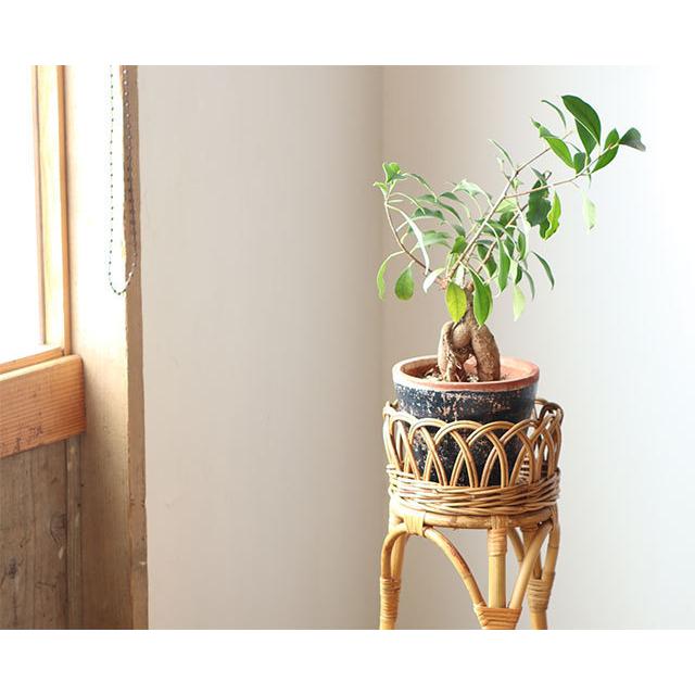 プランターラック 花台 フラワースタンド 公式 ユグラ L