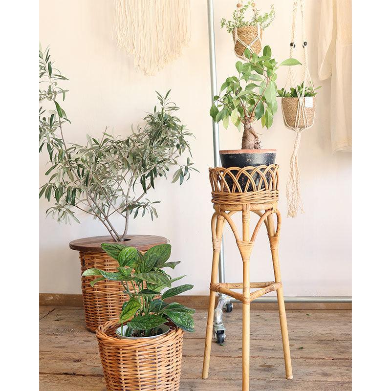 プランターラック 花台 フラワースタンド 公式 ユグラ L / 再入荷