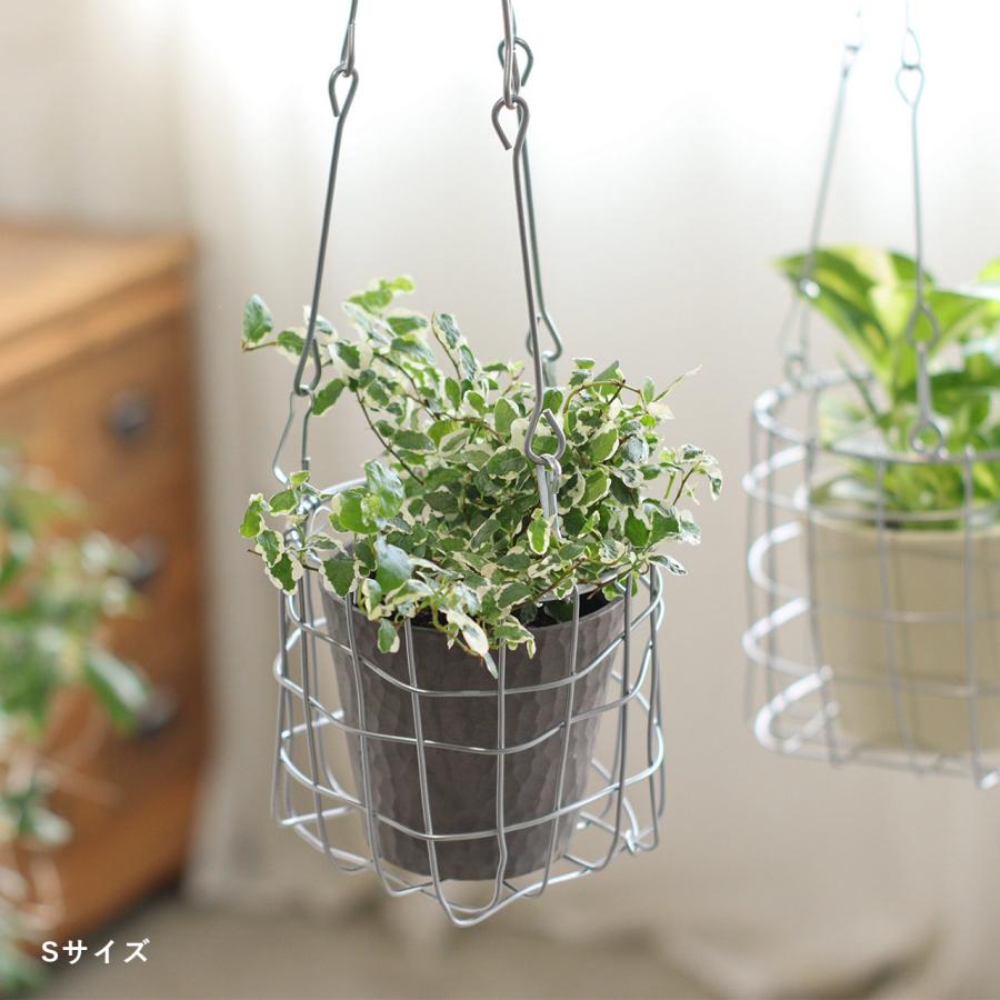 植物いろいろハンギング prgr-1574_6.jpg