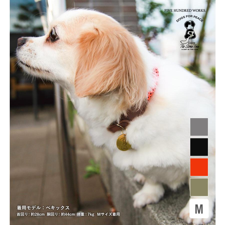 犬 首輪 くびわ 本革 レザー 真鍮チャーム ドッグ イヌ 小型犬 犬 首輪 くびわ 本革 レザー 真鍮チャーム ドッグ イヌ 小型犬