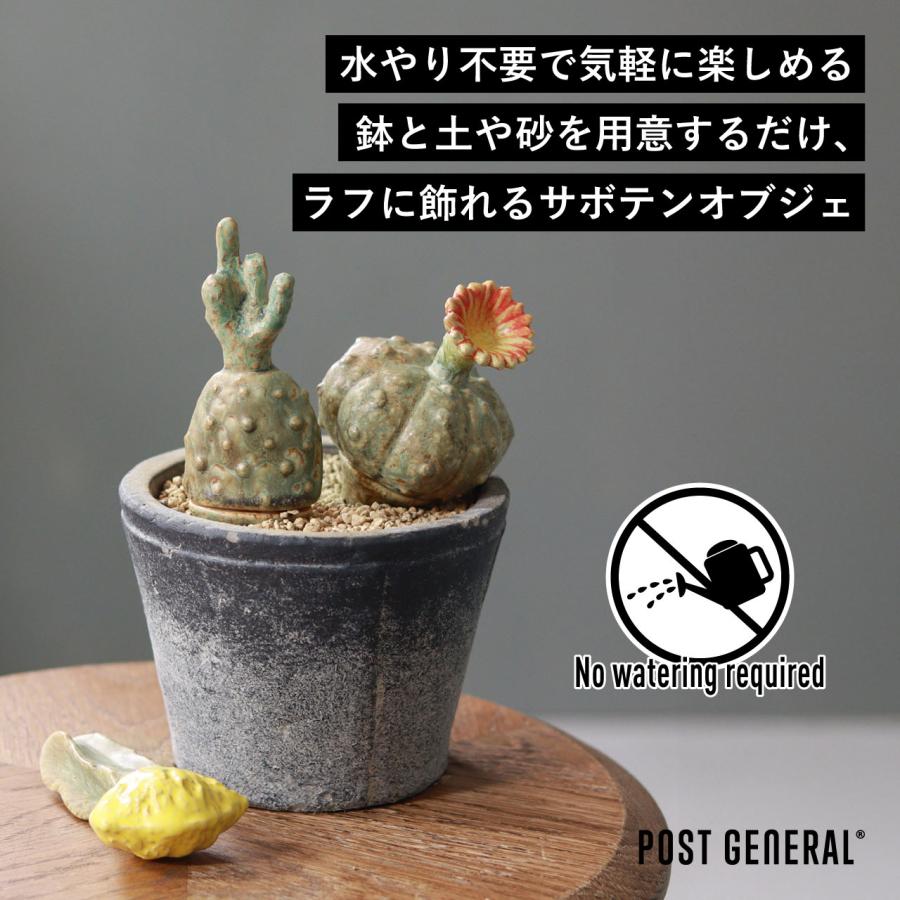 POST GENERAL 公式 サボテン 磁器 おしゃれ オブジェ フェイクグリーン