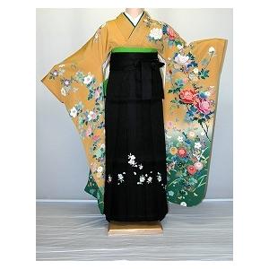 振袖袴レンタル 卒業式 標準サイズ フルセット 謝恩会 卒業袴 着物レンタル 正絹振袖 古典柄 黄色・淡色系 hf748