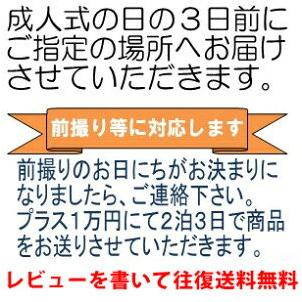 振袖レンタル ゆったりサイズ 大きいサイズ 2L 3L ふりそで 正絹振袖 古典柄 結婚式 2月から11月までの振袖レンタル 白・薄色系青・青紫・緑系 rf917 |  | 06