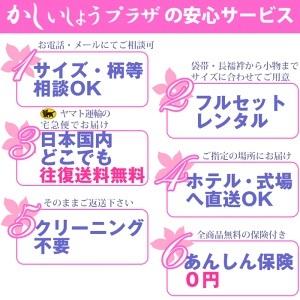 振袖レンタル ゆったりサイズ 大きいサイズ 2L 3L ふりそで 正絹振袖 古典柄 結婚式 2月から11月までの振袖レンタル 白・薄色系青・青紫・緑系 rf917 |  | 07