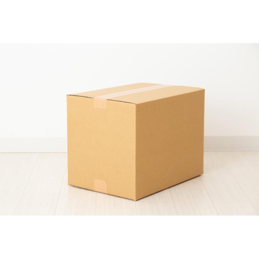 ショッピング 540ソイプロテイン イストリア 5キログラム 送料無料