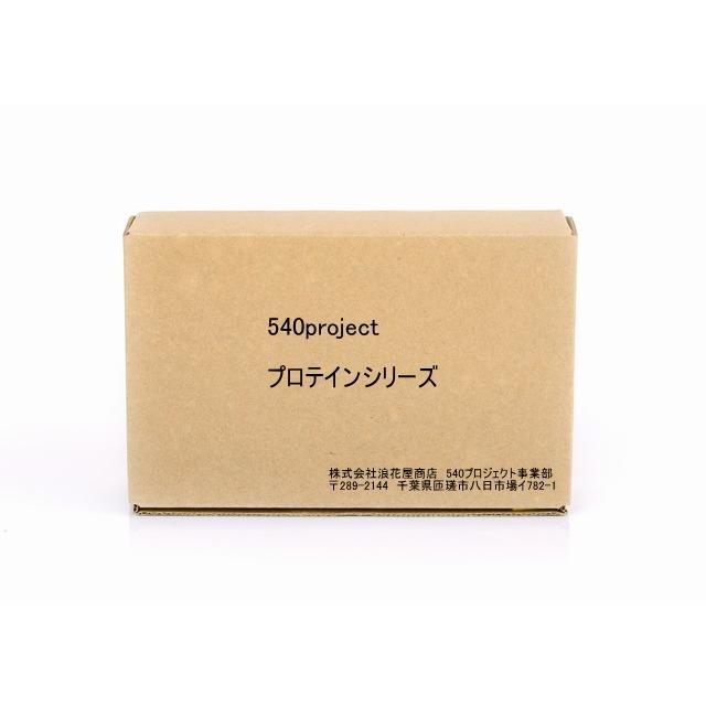 540ソイプロテイン改 