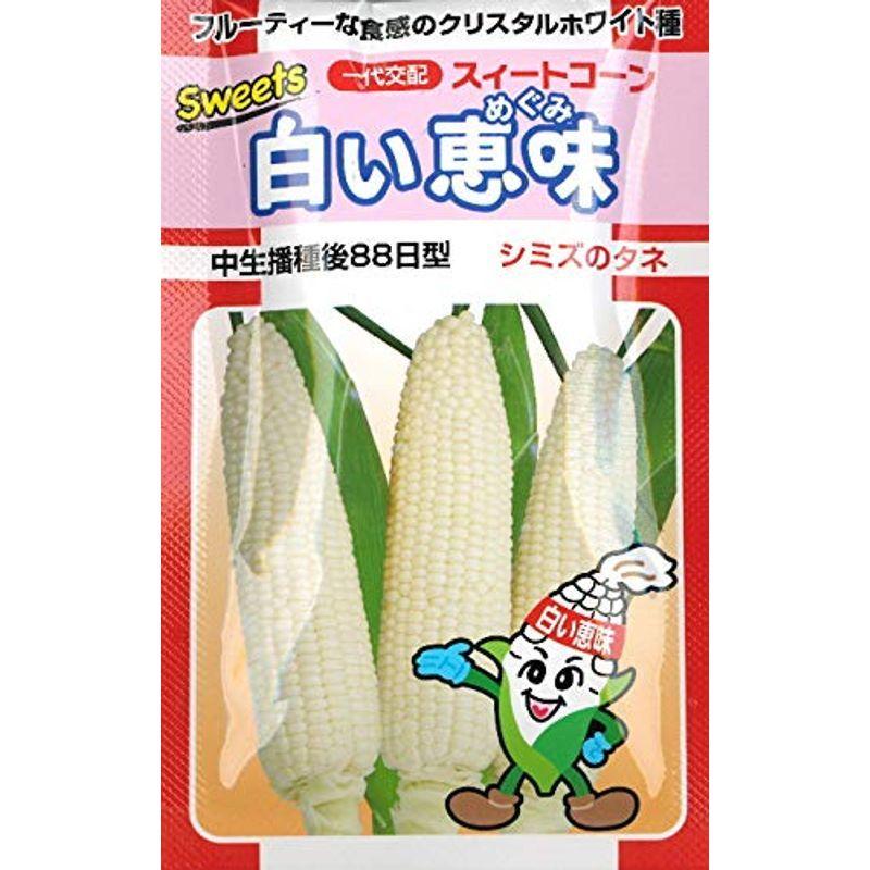 63 以上節約 トウモロコシ 種子 スイートコーン 白い恵味 130粒 とうもろこし Wantannas Go Id